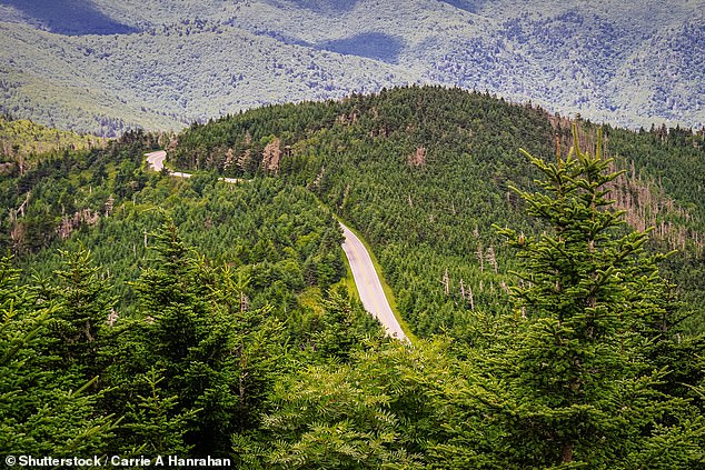 The Blue Ridge Parkway secures fourth place with 722,047 Instagram hashtag mentions. You can see why this route linking great American national parks is so photographic