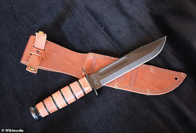 Touch DNA was found on a Ka-Bar knife sheath (seen in a stock image) left behind at the scene. Ramsland was stunned at Kohberger's alibi that alleged the real killer planted his DNA at the scene
