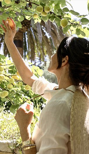 Meghan was out picking apricots in her garden over the weekend - but few were ripe