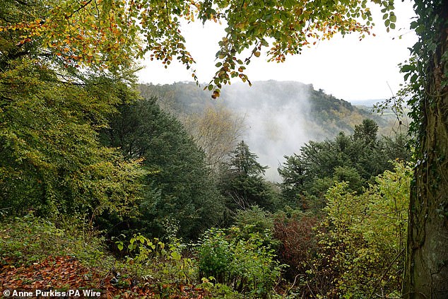 The South Downs National Park (pictured) is England's newest national park, designated on March 31, 2010