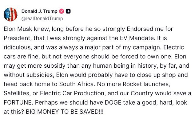 Trump has suggested Musk may have to 'head back home to South Africa'
