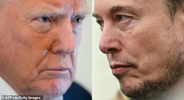 President Donald Trump and Elon Musk are at odds over Trump's spending plans and the president has said he will 'take a look' into deporting the former 'first buddy'