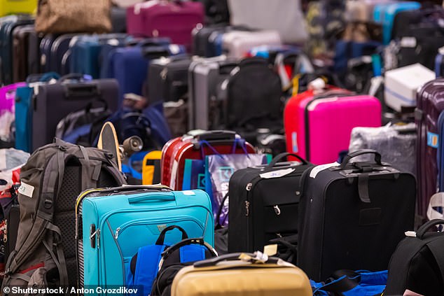 ‘Losing luggage is always stressful, but not knowing what to do makes the situation even worse,’ says Chris Harrington, Hoppa’s managing director.
