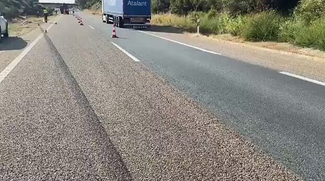 Police are investigating the cause of the crash but believe based on the marks on the road, pictured, a tyre blew out just before the incident