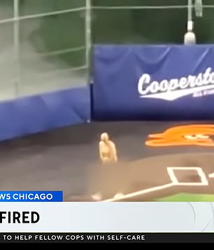 Footage showed the coaches running around the bases in front of shocked bystanders