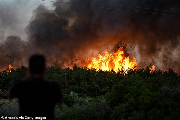 Smoke rises from burning trees while air and land intervention continues against the fire that broke out in the forest area in Cesme district of Izmir