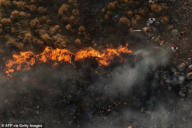 An elderly man and a forestry worker died on Thursday in wildfires as firefighters battled high winds fanning two blazes in the western province of Izmir