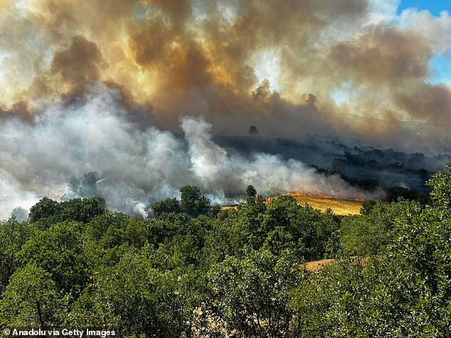 Firefighting efforts continue after a wildfire broke out in an agricultural area and spread to nearby forests in Esme district of Usak, Turkey