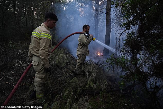 Firefighters extinguish the fire with water as air and land intervention continues against the fire that broke out in the forest area in Buca district of Izmir