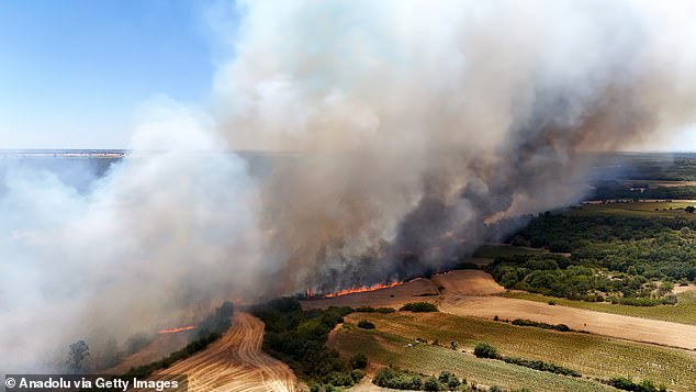 : Flames and smoke rise from the fire that started in the agricultural land and spread to the forest area while firefighters, Turkish General Directorate of Forestry and AFAD teams extinguished against the fire in Pinarhisar district of Kirklareli