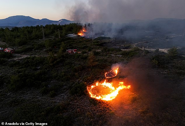 According to figures on the European Forest Fire Information System (EFFIS) website, there have been 90 wildfires in Turkey so far this year that have ravaged almost 87,000 acres of land