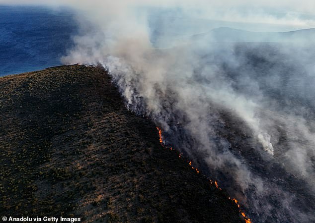 Experts say human-driven climate change is causing more frequent and more intense wildfires and other natural disasters, and have warned Turkey to take measures to tackle the problem