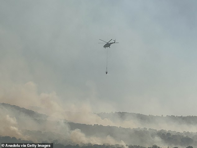 Firefighting efforts continue after a wildfire broke out in an agricultural area and spread to nearby forests in Esme district of Usak