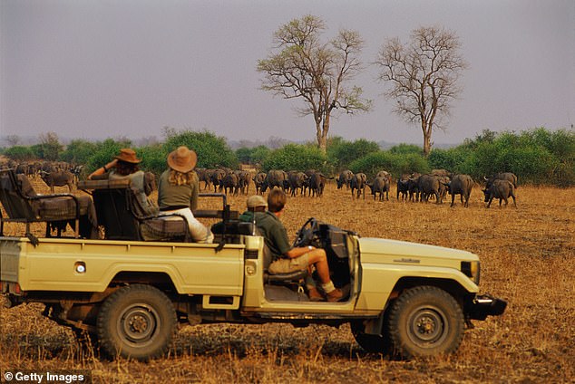 The pair of tourists had stayed for four days in the camp and they were heading to another camp named Takwela Camp before the attack (file photo)