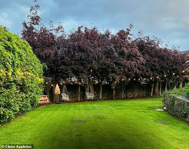 Before: A photo showing the property's garden before the Appleton family transformed it