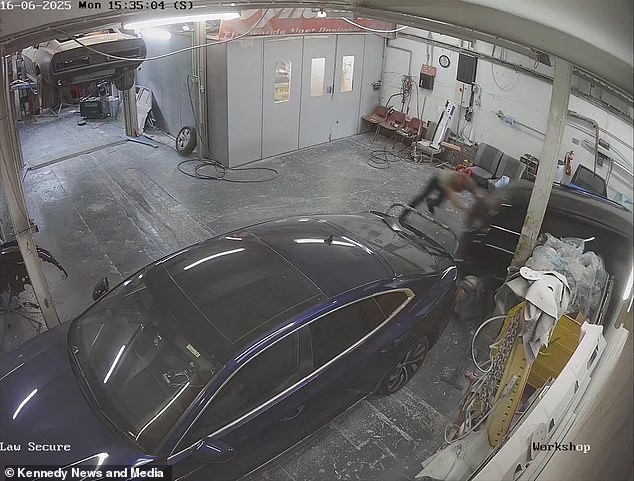 Terrifying footage shows Karl unsuccessfully trying to stop the vehicle rolling by pushing on it before eventually being smashed against the wall