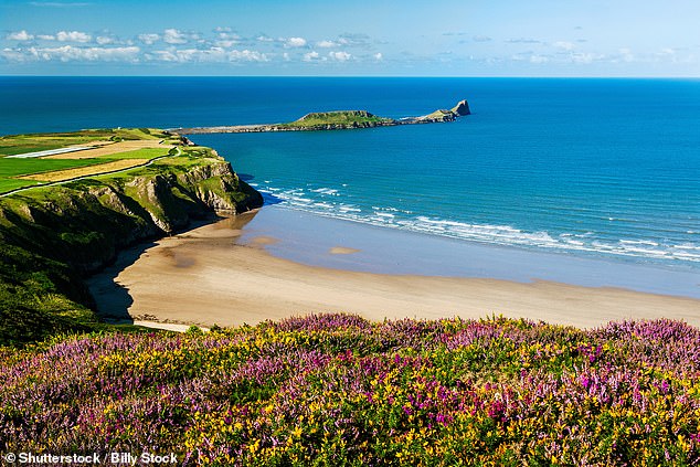 The Lizard peninsula circuit, in southern Cornwall, has been named the best walk in the UK by Which?, with a total score of 87 per cent