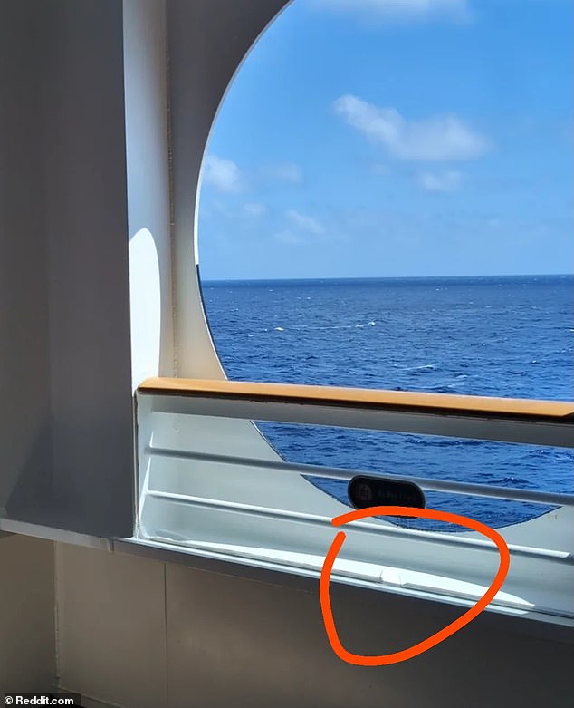 Another Disney cruise ship, the Fantasy, has a slightly different design where the railing is at the front of the shelf with plexiglass blocking it, making it much more difficult to climb on - as pointed out by a passenger posting this photo to Reddit