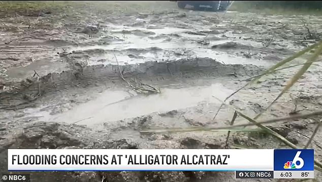 The detainees arrived at the facility just as concerns grew over flooding caused by thunderstorms this week