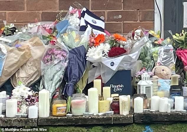 In the sentencing hearing Mrs Justice Tipples told the youth: 'What you did in that moment has also changed your life forever'