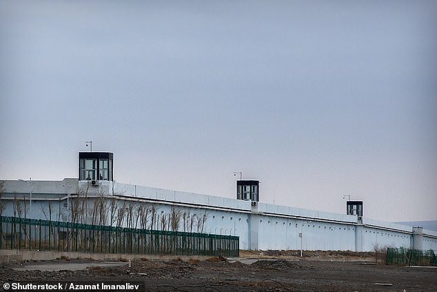 Beijing has denied any wrongdoing, but it admitted that organs were taken out of executed prisoners up until 2015. Pictured: Uigurs learn Chinese language at a reeducation camp