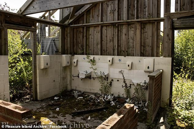 At the former Furry Friends Farm, there are still soap and hand towel dispensers surrounding broken sinks