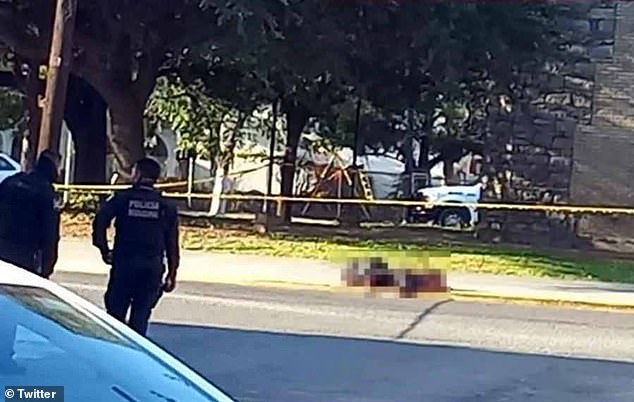 Seven bodies and five bags with human remains were discovered abandoned at Monterrey in killings attributed to cartel wars