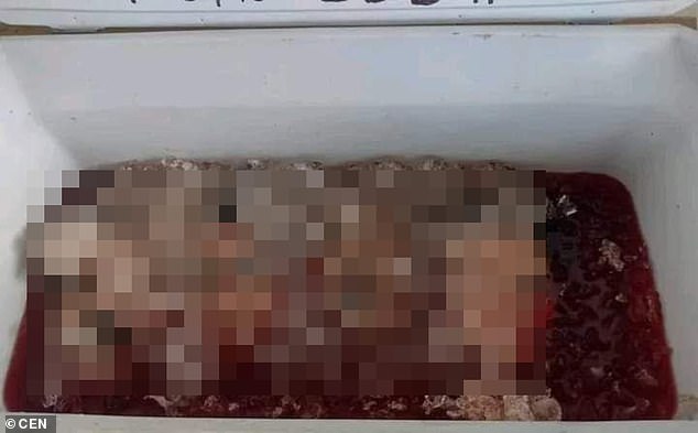 When workers opened the cooler, the were horrified to find a bunch of severed heads