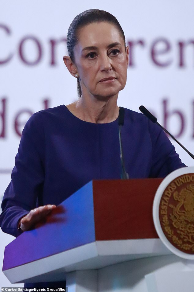 Although Mexico's president, Claudia Pardo has vowed to do more to tackle the cartel violence crisis, the issue still persists on a greater scale
