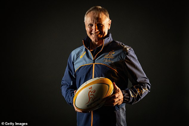 That said, I am worrying the Lions will be underdone for the Test - Joe Schmidt may be quietly fancying his chances of masterminding an upset