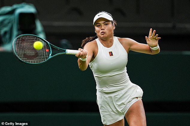 Raducanu protested a call and insisted the decision by the automated line judge was wrong