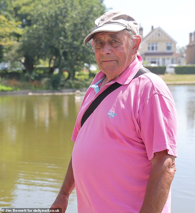 Roger Herring, 78, said he had seen children kill birds in trees