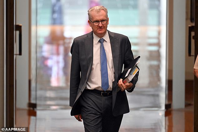 Home Affairs Minister Tony Burke (pictured) said he was being constantly briefed by ASIO and the Australian Federal Police following the incidents in Melbourne