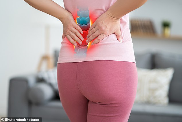 Osteoporosis affects around 3.5million people in the UK and causes bones to thin and weaken, leading to fractures (stock image)