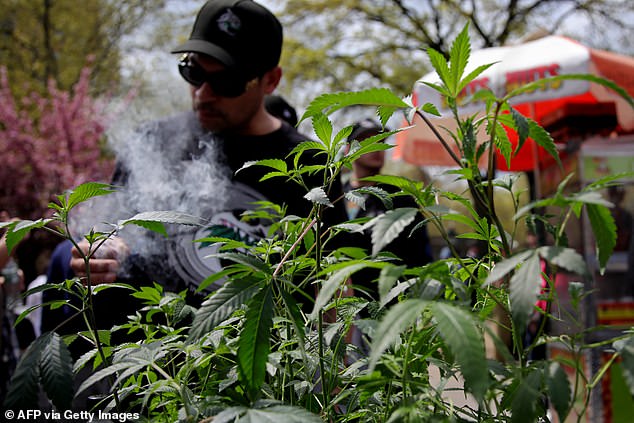 'The streets in the city where I have lived for 18 years now reek of illicit cannabis,' writes Leonard