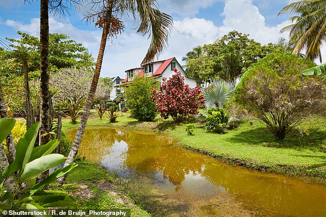 He finally ended up in the former Dutch colony of Suriname, an untouched rainforest-covered melting pot which remains firmly off the tourist track