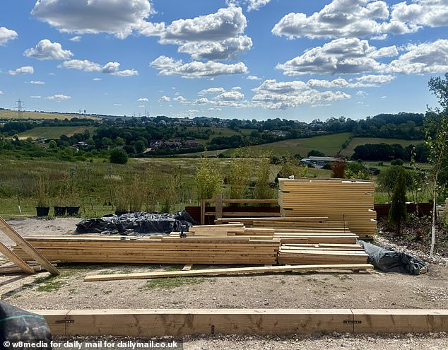 Neighbours say the construction of the cabin spoiled their scenic views of the countryside
