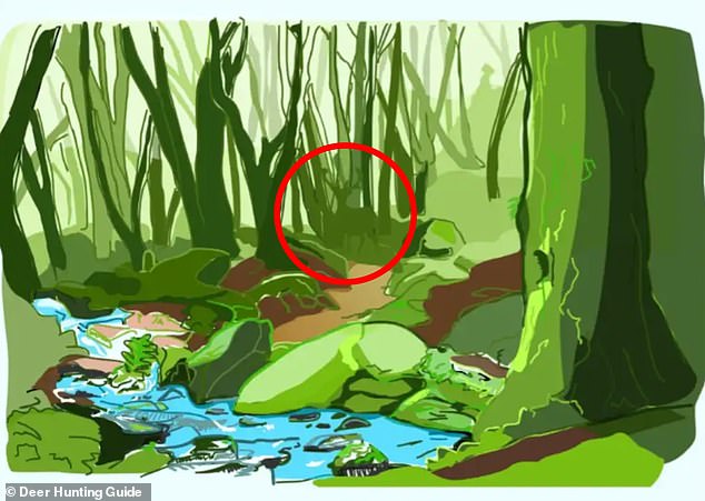 The deer can be seen circled on the dirt road, blending in with the foliage