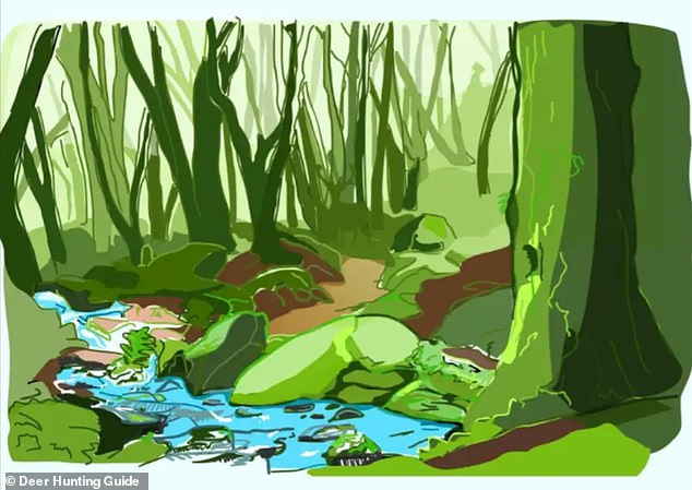 This wild brain teaser takes you on a virtual trek through a lush, green jungle filled with flowing streams, towering trees, and thick foliage
