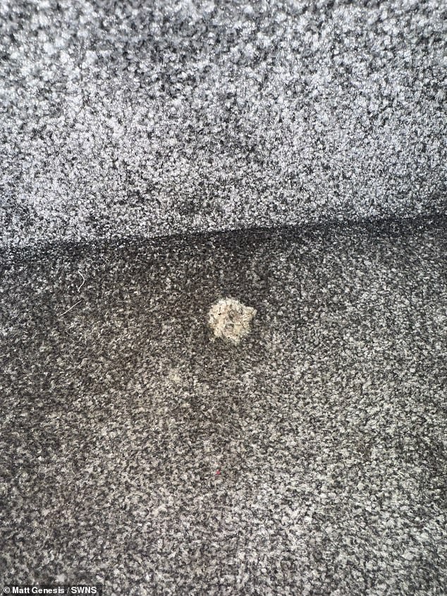 Gum was left embedded in the grey plush carpet with the disaster causing £2,000 worth of damage