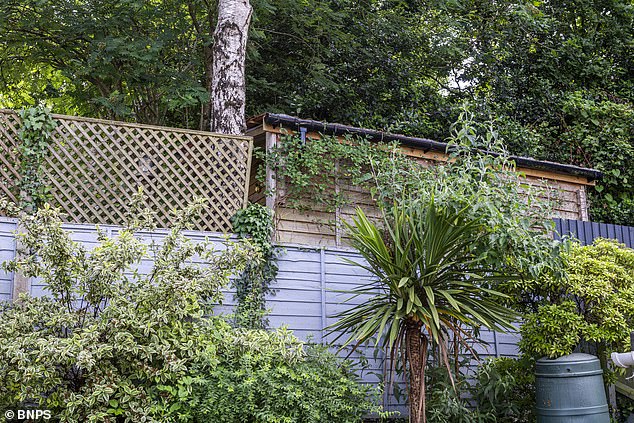 Board's neighbours say their back gardens have become no go areas in the summer because he is unable to control his colony of bees