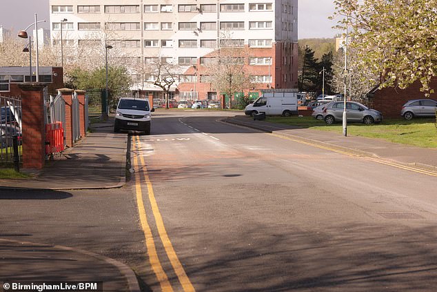 died after being hit by a silver Vauxhall Corsa in April 2024 in Birmingham on Upper Highgate Street (pictured) at around 9.45pm