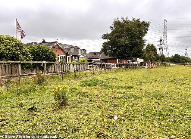Other residents revealed how a group of them had bought an adjacent field that was put up for sale by the owner of Ladyshore House to stop it being developed