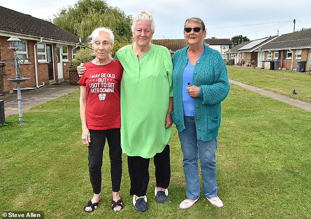 Gwen King (centre), who also lives in Lostock Gardens, said: 'I want a fence just like Maureen. I just don't understand what the problem is'