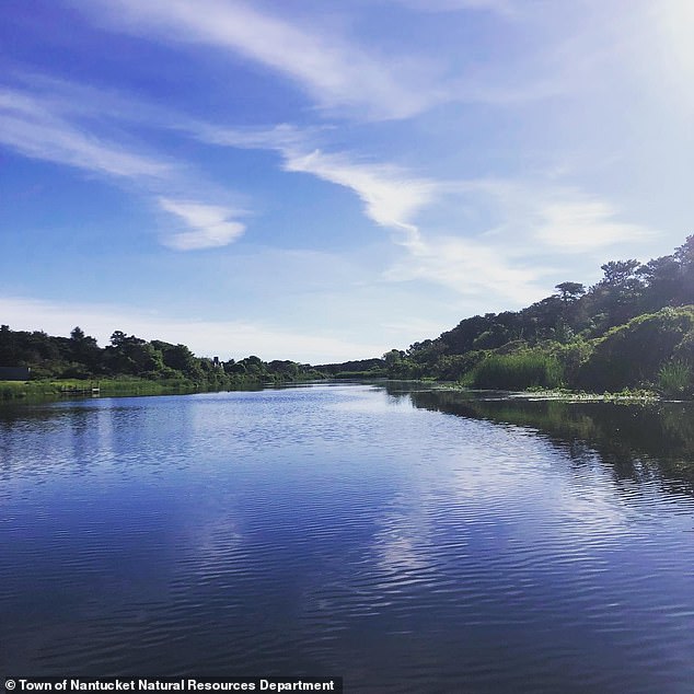 In its Zillow description, the contemporary home has 'sweeping views of the Atlantic Ocean' and Hummock Pond (pictured)