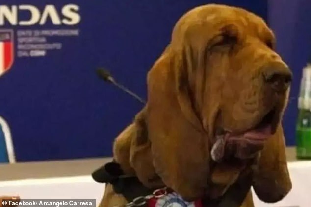 Bruno had also taken part in operations aimed at dismantling groups that organised clandestine dog fights