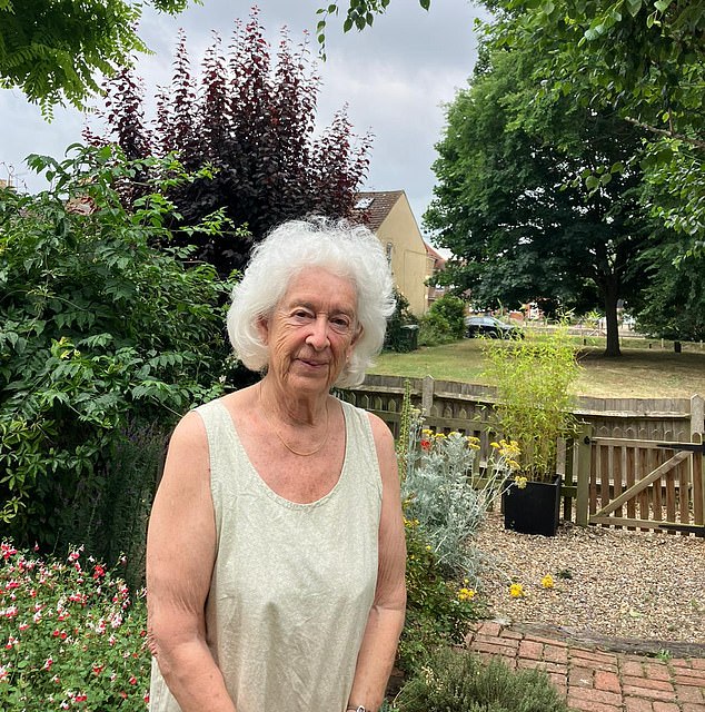 Elizabeth Arnolt, 79, who moved to the area three years ago, got involved in politics for the first time in her life to fight the developers