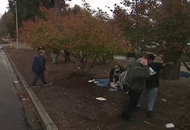 The footage showed the girl and her boyfriend run behind a tree pursued by Haneen and her mother where there was another altercation
