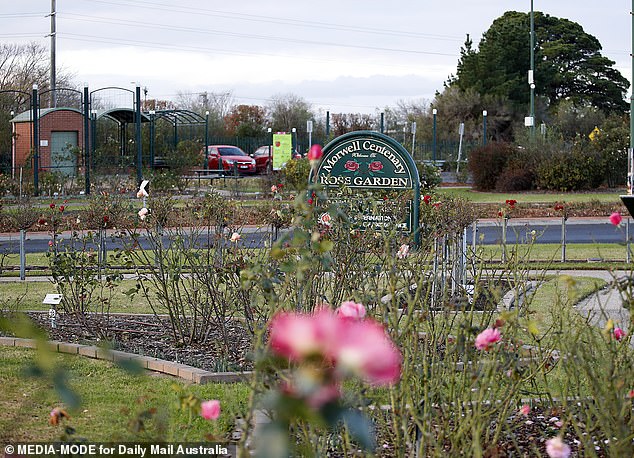 The Morwell rose gardens created a sea of colour and joy in an otherwise bleak town