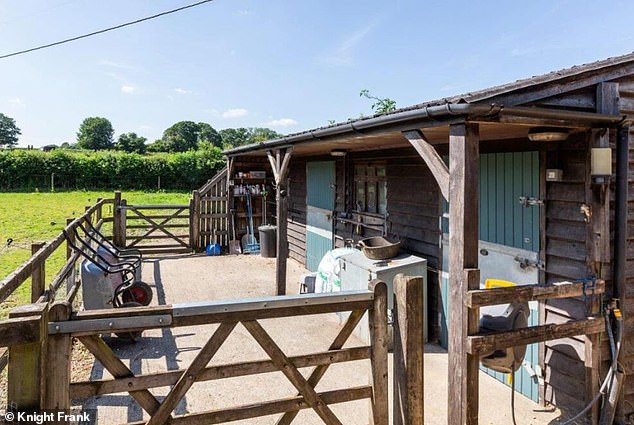 Space for horses: Claire O'Donnell created two horse paddocks at the property